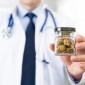 Leucemia e Cannabis: Como o Uso Medicinal Pode Auxiliar no Tratamento?