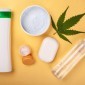 Viajando com Produtos à Base de Cannabis: O que Você Precisa Saber Sobre Documentos e Regras
