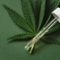 Uso de Cannabis Medicinal para Saúde Mental: Indicações, Benefícios e Possíveis Riscos