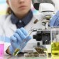 Principais Eventos de Cannabis para Médicos Prescritores: Onde se Atualizar e Fazer Networking
