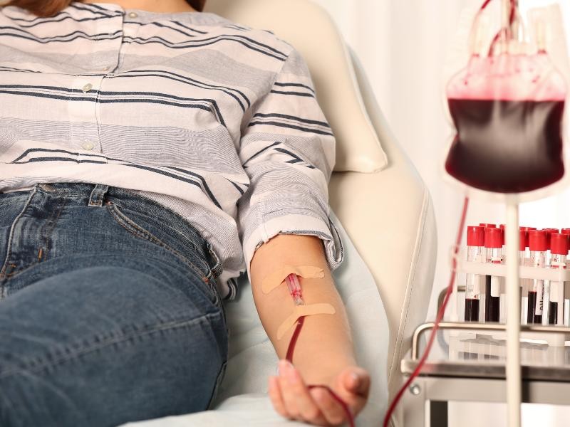 Posso Doar Sangue Usando Cannabis Medicinal? Regras, Restrições e Esclarecimentos