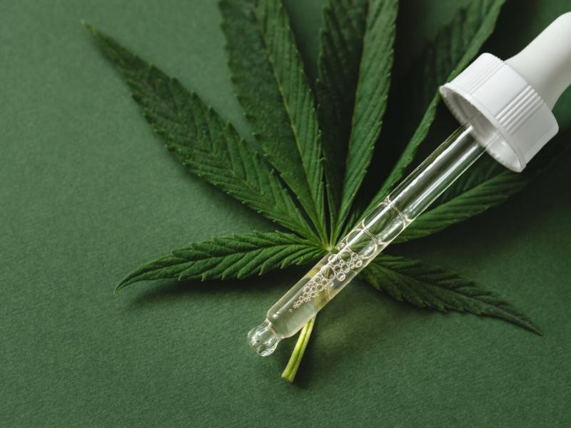 Uso de Cannabis Medicinal para Saúde Mental: Indicações, Benefícios e Possíveis Riscos